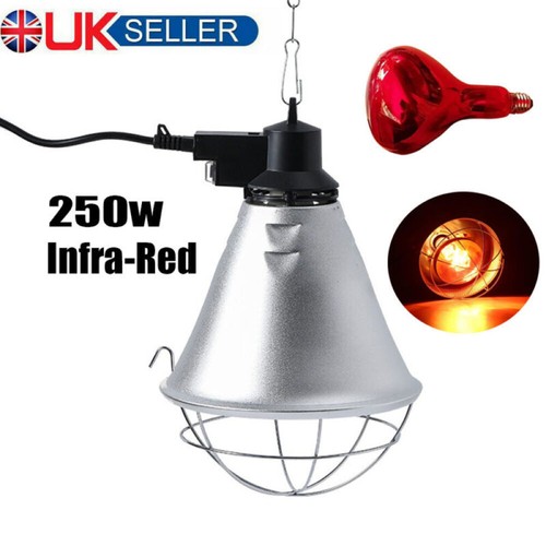 250w infa red - 250w, lamp