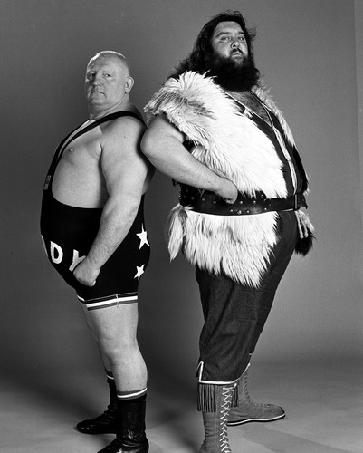 Big daddy giant haystacks - giant,