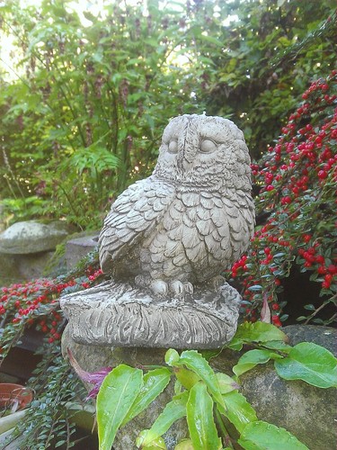 Stone garden baby owl - 🇬🇧stone,