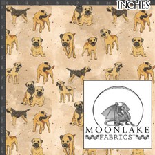 Border Terrier, Sketch n