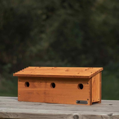 Riverside woodcraft sparrow - woodcraft,