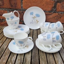 Wedgwood Ice Rose Coffee Set - Cup, saucer, plate x6, sugar & creamer - Vintage