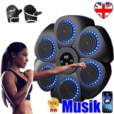 Boxing Machine，Wall Mount Bluetooth Music Electronic Boxing Training Punching.