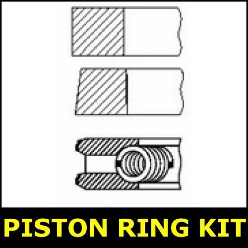 Piston ring kit fits - piston,