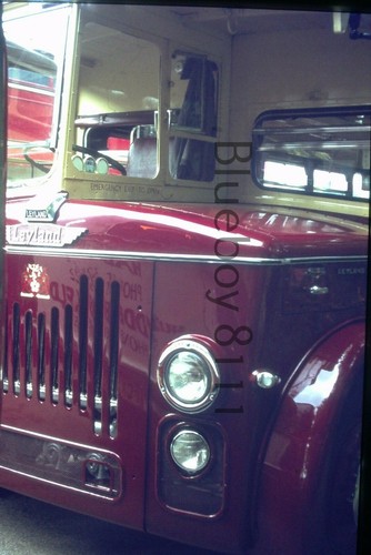 35mm slide leyland bus - ,