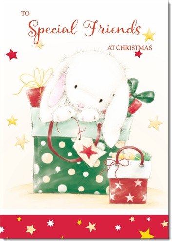 Doodlecards special friends - doodlecards,