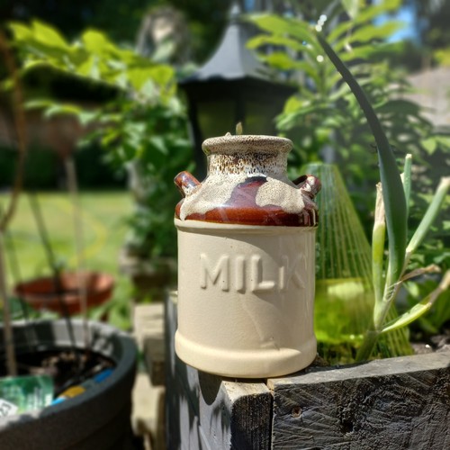Vintage small milk - vintage,