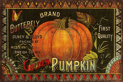 Pumpkin advert aged look - aged,