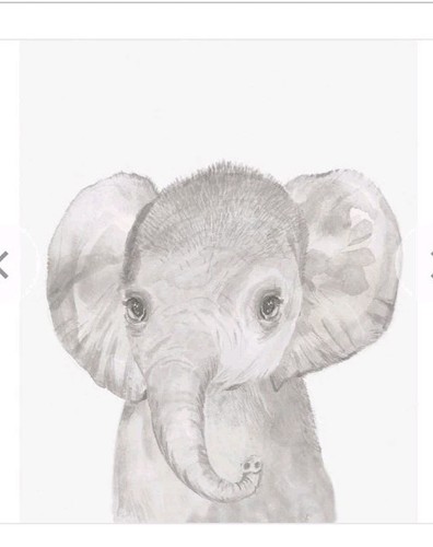Mamas and papas elephant - papas,