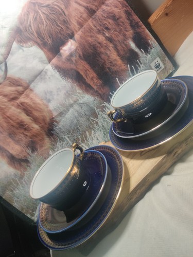 Christineholm romanov cup - romanov,
