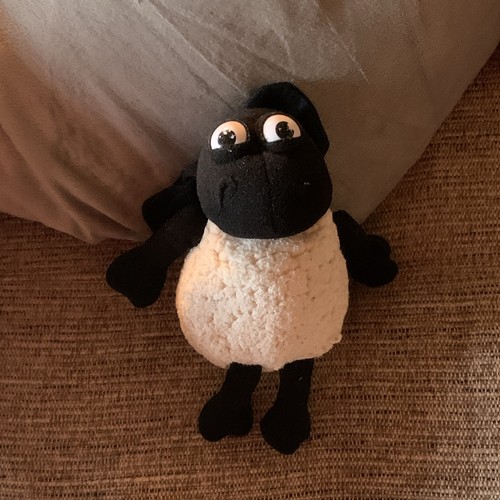 Shaun the sheep timmy time - sheep,