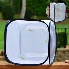 Mantis stick small - mantis,