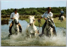 Vintage La Camargue Chevaux et