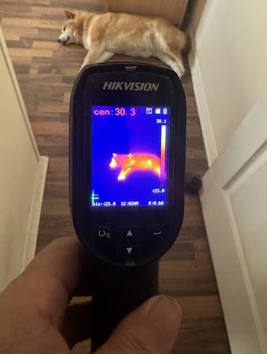 Hik vision thermal imaging - vision,