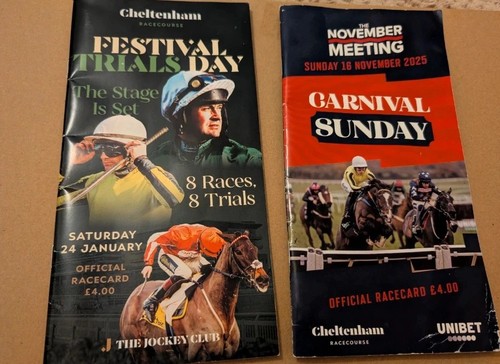 Cheltenham horse racing - horse,