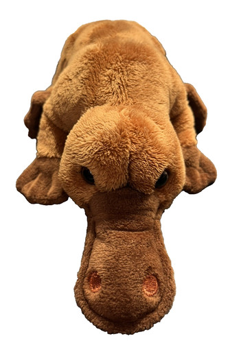 Korimco platypus duck brown - duck,