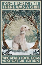 Bedlington terrier once upon - terrier,