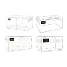 Acrylic Jumping Spider