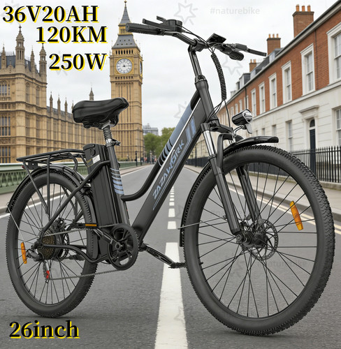 Electric bike 250w - electric,