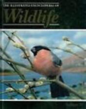 Orbis: The Illustrated