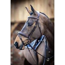 LeMieux Competition Flash