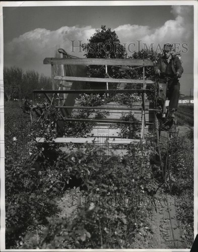 1961 press photo mechanical - photo,