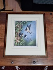 Swallows by John Morris Limited Edition Framed Print