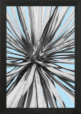 Botanical composition VI