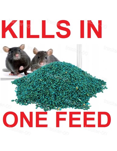 Rodent poison bait - poison,