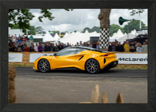 Lotus emira framed - framed, wall