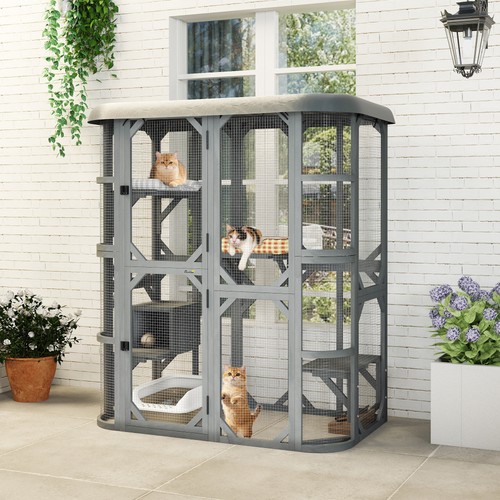 Pawhut walk catio - pawhut, catio,