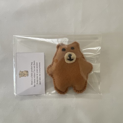 Pocket teddy bear - teddy, gift