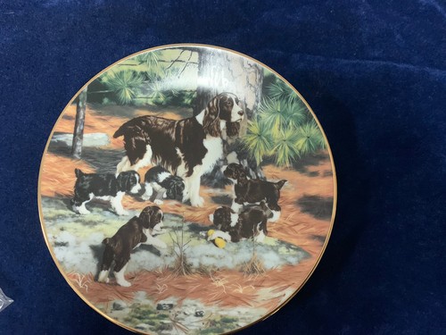 Hamilton plate springer - plate,