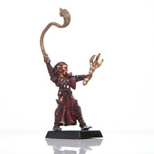 Warhammer - Dark Elves War Hydra Beastmaster - METAL Fantasy AoS elf Claw