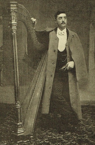 Welsh harpist william - harpist,