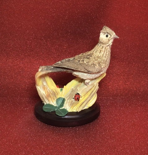 Country bird collection andy - country,