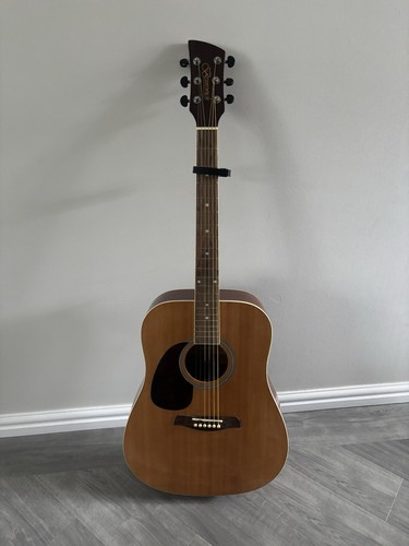 Brunswick bdl200 acoustic - brunswick,