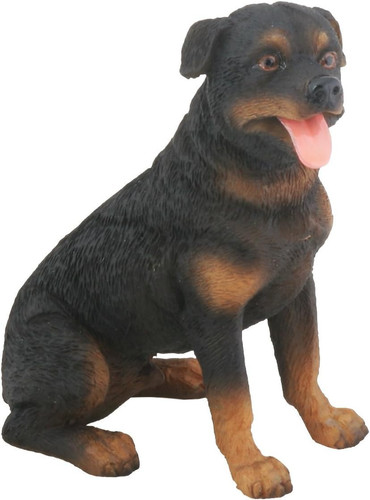 Ytc rottweiler dog - ytc,