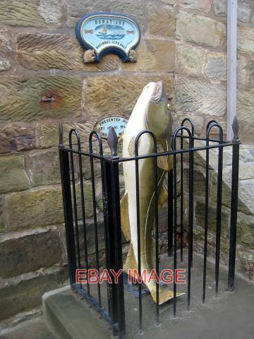 Photo the fish collecting box - ,