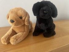 Guide Dogs for the Blind