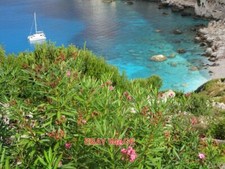 PHOTO  EARLY MORNING COLOURS