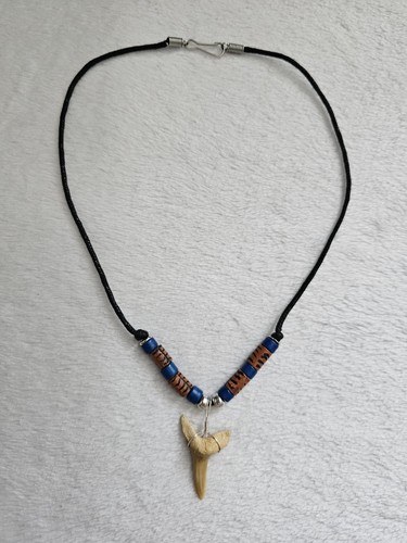 Real shark tooth - shark,