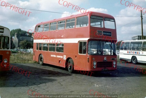 Bus photo eastern counties - bus,