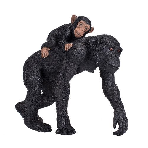 Mojo chimpanzee with baby - mojo, wild