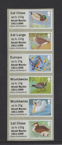 Error birds hytech - birds, 3 