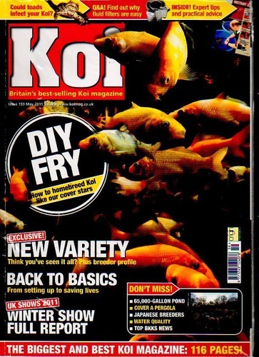 Koi magazine may - -,