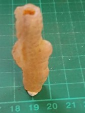 Gobi Tube Agate  Natural Unpolished Very Rare