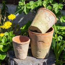 Set Of 3 Aged Terracotta Plant Pots Round Flower Garden Outdoor Planters Decor