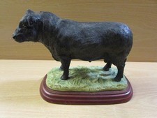 RARE Border Fine Arts BFA CATTLE COUNTY SHOW A0740 Aberdeen Angus Bull (A)