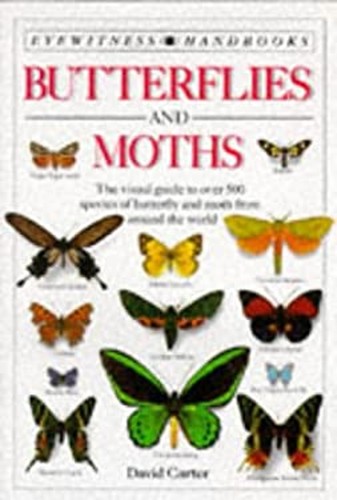 Butterflies and moths - and,